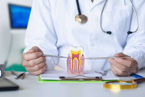 Best Knocked-Out Tooth (Avulsed Tooth) Treatment in Ada, OH